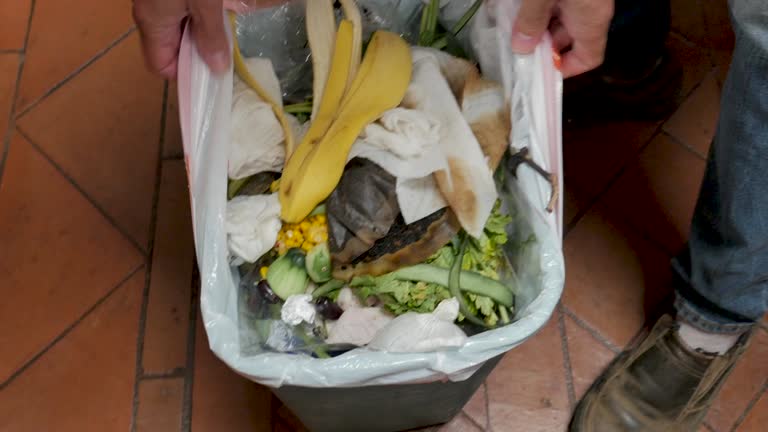 Best Same-Day Junk Removal Services  in Fort Hunt, VA